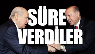 'Erdoğan ile Devlet Bahçeli yeni Anayasa konusunda anlaştı'