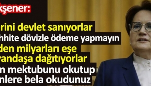 İYİ PARTİ GENEL BAŞKANI MERAL AKŞENER'DEN ÖNEMLİ AÇIKLAMALAR !