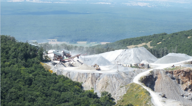 Devlet Demir Yolları'ndan katliam projesi: 10 binden fazla ağaç kesilecek