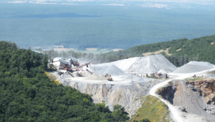 Devlet Demir Yolları'ndan katliam projesi: 10 binden fazla ağaç kesilecek