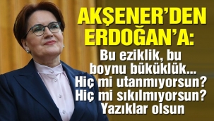 İYİ Parti Genel Başkanı Akşener'den Bahçeli ve MHP'lilere çok sert tepki