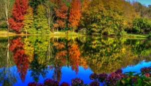 Atatürk'ün mirasına büyük saygısızlık! Düğün salonu yapacaklar