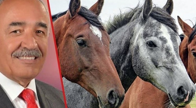 İBB'nin hibe ettiği atları kaybeden MHP'li belediyede vergi kaçakçılığı