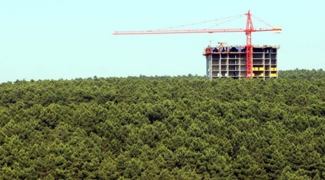 Saray'dan peş peşe satış kararları! Çok sayıda ilde kamu arazileri "parsel parsel" satılıyor...