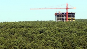 Saray'dan peş peşe satış kararları! Çok sayıda ilde kamu arazileri "parsel parsel" satılıyor...