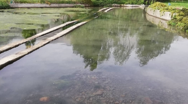 Şenoba Belediyesi tarafından akarsu ve kaynak sularda çöp temizliği