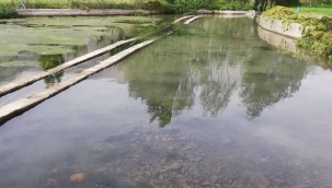 Şenoba Belediyesi tarafından akarsu ve kaynak sularda çöp temizliği