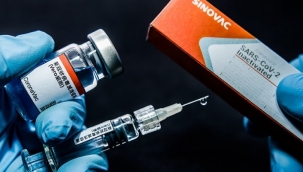 Türkiye'de ilk vakanın açıklanmasından 5 gün önce kurulan şirket, Sinovac'a aracı oldu