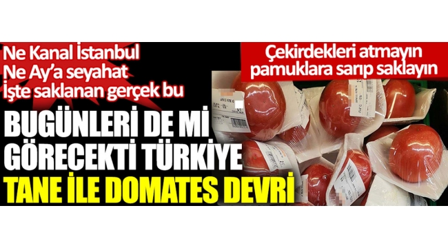 Türkiye 'de Tane ile domates devri. Ne Kanal İstanbul ne Ay'a gideceğiz işte gerçek bu .. 
