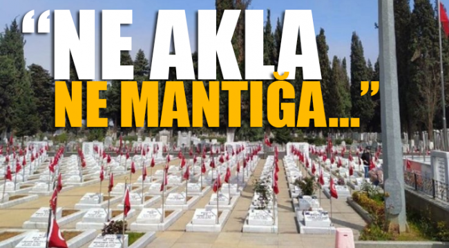 AKP'li belediye, 'mermerler kirleniyor' diye ağaç kesti