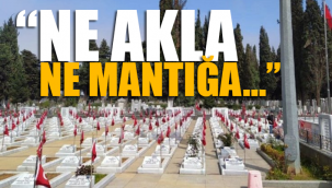 AKP'li belediye, 'mermerler kirleniyor' diye ağaç kesti