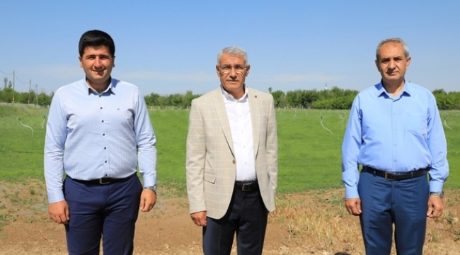 Battalgazi Belediyesi 'rulo çim üretim tesisi' kurdu