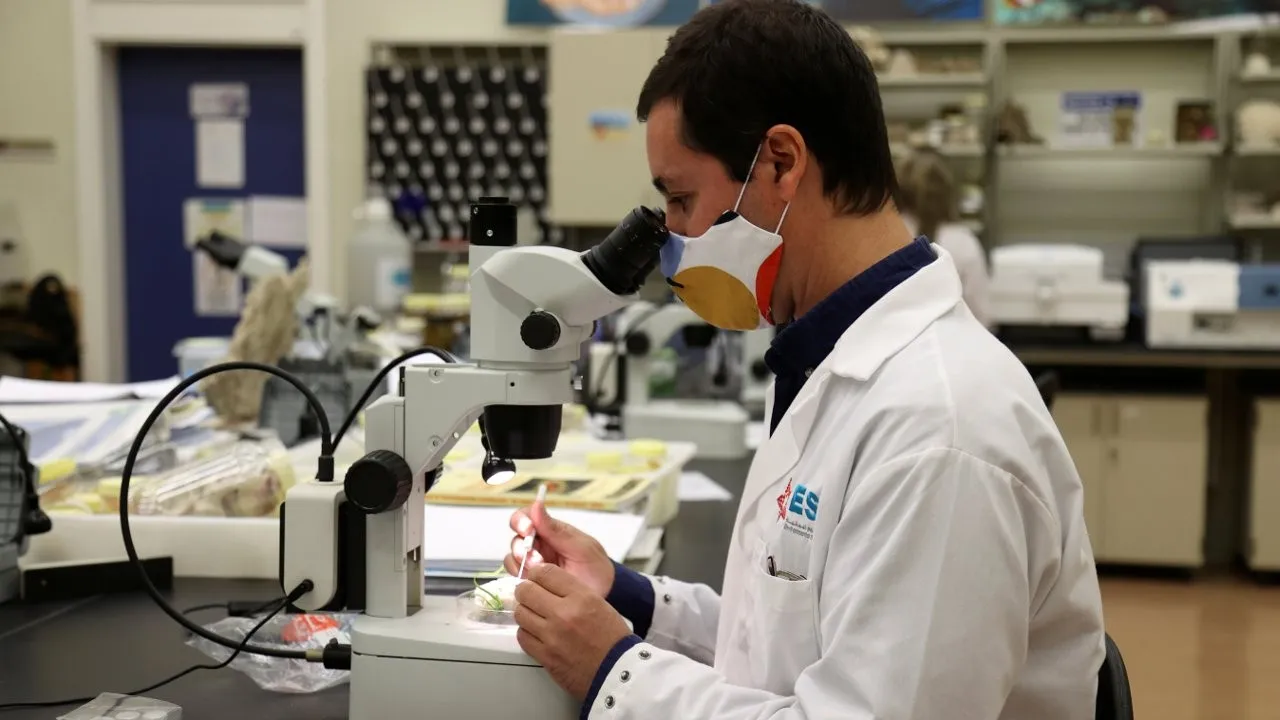 Japon bilim insanları: Burun ile penis boyu arasında ilişki var