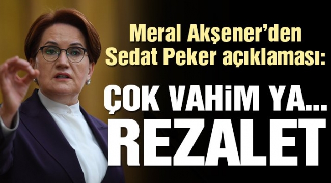 Meral Akşener'den Sedat Peker açıklaması: Çok vahim, rezalet