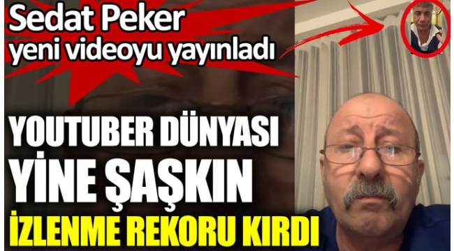 Sedat Peker beklenen açıklamayı yaptı! 'Bir gram namusun varsa istifa edersin!'