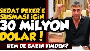 Sedat Peker'e 30 Milyon Dolar 'Sus' Parası 