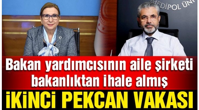 AK Parti'de Yeni Pekcan vakası
