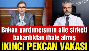 AK Parti'de Yeni Pekcan vakası