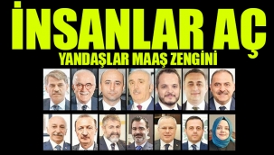 İşte çift maaş alan bürokratlar... Erdoğan'ı solladılar