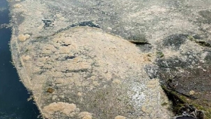 Marmara'daki deniz salyası Karadeniz'e sıçradı!