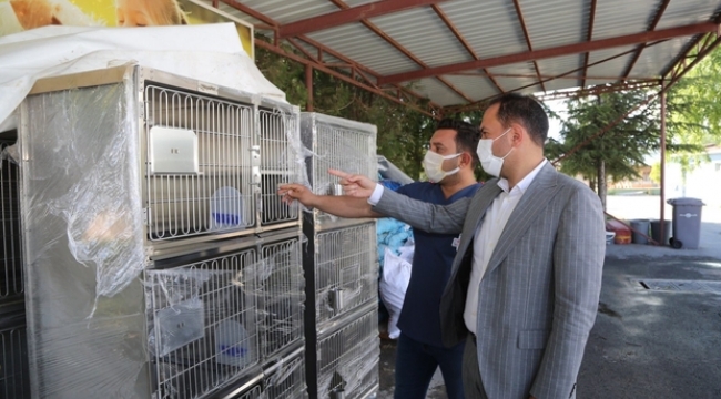 Niğde Belediyesi'nden Sokak Hayvanları İçin Yeni Yatırım