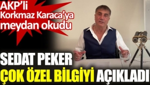 SEDAT PEKER ''DENİZ BAYKAL'IN KASET OLAYINDAN SONRA PEZEVENKLERİ GERİ ÇEKİLİNCE GÖREVİ NASIL DEVRALDI?''