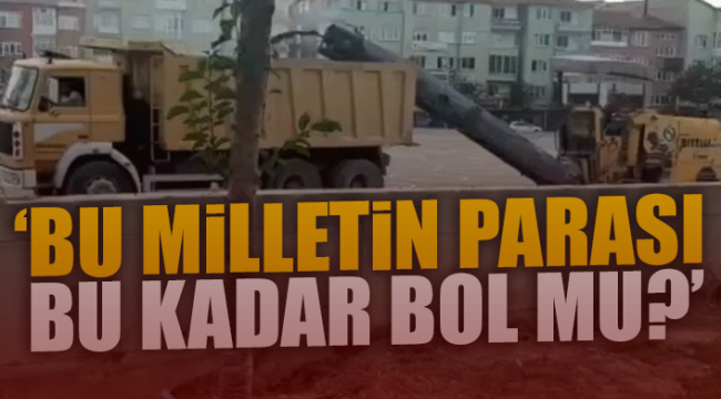 Ağaçları katleden AKP'li belediyeden 11 milyonluk ihale!