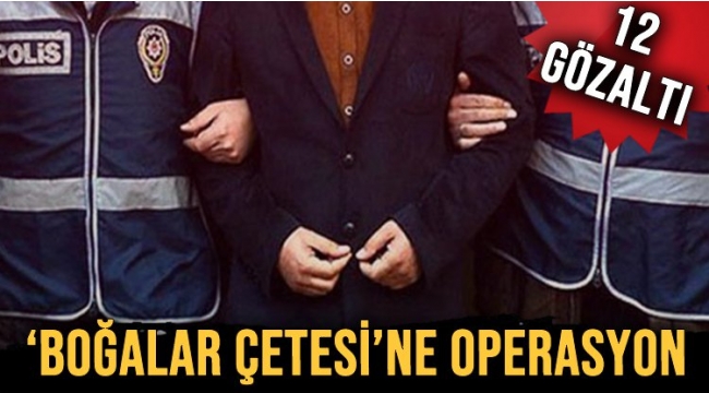 Ankara'da, "Boğalar Çetesi" suç örgütüne "Matador Operasyonu"