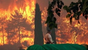 Ormanlar yanarken kayyum THK başkanı düğüne gitmiş