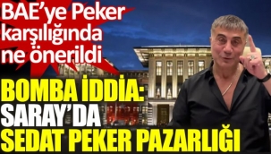 Bomba iddia. Saray'da Sedat Peker pazarlığı