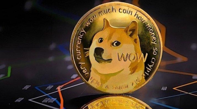 Bu kez de Dogecoin vurgunu: 1500 kişiyi 1 milyar lira dolandırdı