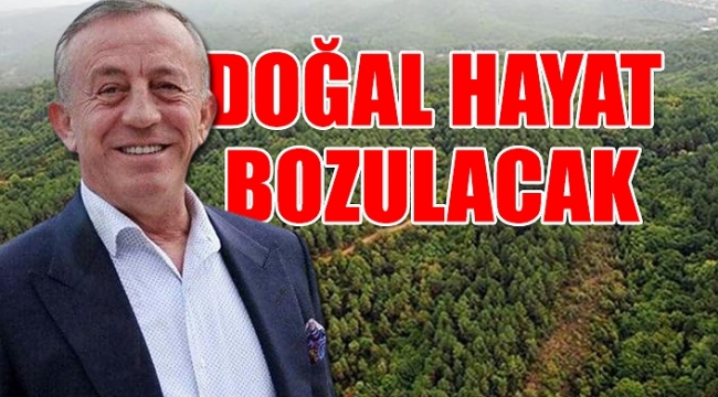 Ağaoğlu'ndan Milas'ta doğa katliamı: 30 bin kişilik kent kurulacak