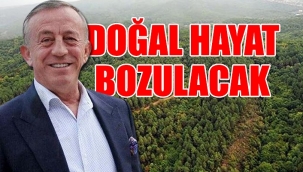 Ağaoğlu'ndan Milas'ta doğa katliamı: 30 bin kişilik kent kurulacak