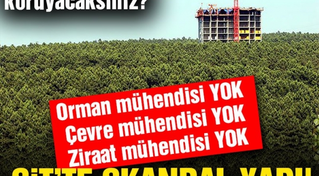 SİT'te skandal yapı: Doğayı, tarihi, kültürü böyle mi koruyacaksınız!