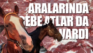 Yılkı atlarını et firmasına Tarım Bakanlığı'nın verdiği ortaya çıktı