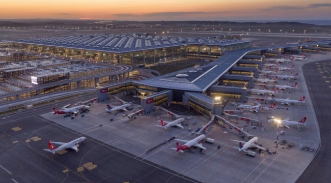 Ağaçların kesildiği İstanbul Havalimanı arazisinde 'orman' bilmecesi