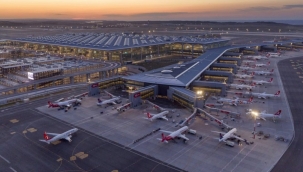 Ağaçların kesildiği İstanbul Havalimanı arazisinde 'orman' bilmecesi