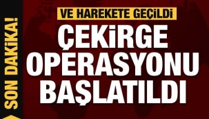 Bakanlık'tan son dakika: Çekirge operasyonu başlatıldı