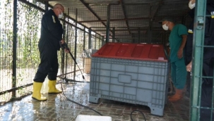 Beşiktaş Belediyesi, patili dostların yaşam alanlarını Kärcher ile birlikte temizledi