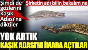 Kaşık Adası'nı imara açtılar. Şirketin adı bilin bakalım ne