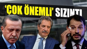 Vergi cennetlerine servet akıtan bir başka AKP'ye yakın şirket ortaya çıktı