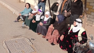 Şenyaşar ailesi: "Hukuk iflas, insanlık iflas, Erdoğan harikalar diyarında"