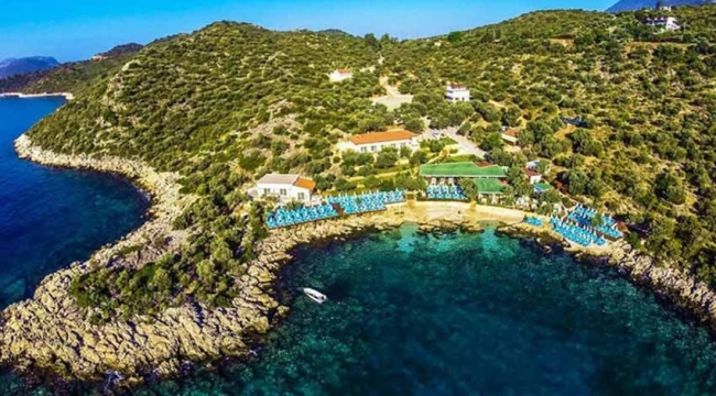 Son 'Torba'dan kimlere piyango çıktı? Deniz kıyısındaki ormanlık alanlara tesis yapılabilecek