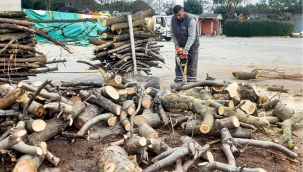 Bakırköy Belediyesi'nden örnek uygulama