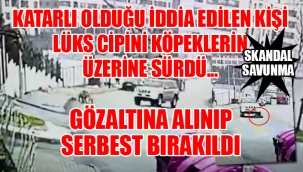Başakşehir'de dehşet anları: Bir köpek feci şekilde öldü