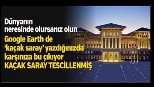 Danıştay'dan Erdoğan'ı kızdıracak karar