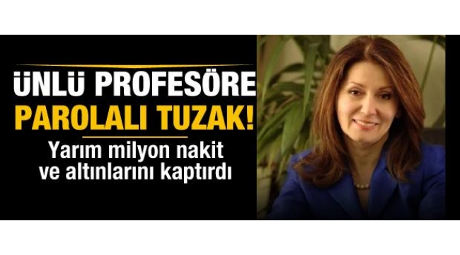 Profesör Ayşe Nilüfer Narlı yarım milyon nakit ve ziynet eşyalarını kaptırdı
