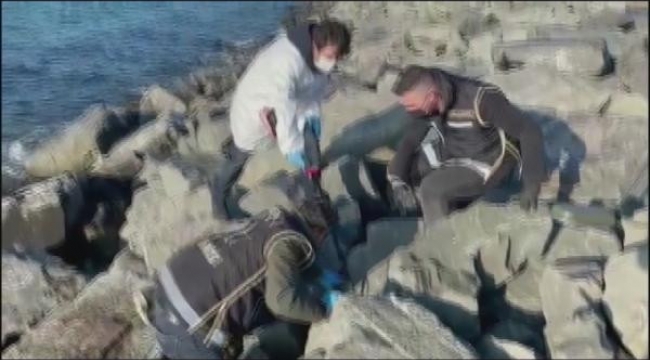 Şafak Mahmutyazıcıoğlu'nun kanlı infazında sıcak gelişme: Cinayet silahı bulundu! Bakın nereye saklanmış...