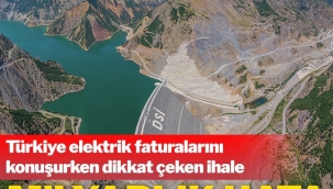 Türkiye elektrik faturalarını konuşurken dikkat çeken ihale: Milyarlık hata