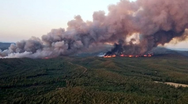 Marmaris'te 6 bin 300 futbol sahası alan kül oldu